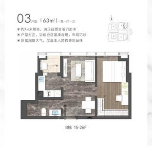 1室1厅 63㎡
