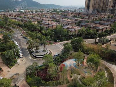 实景图