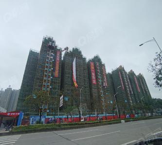 实景图